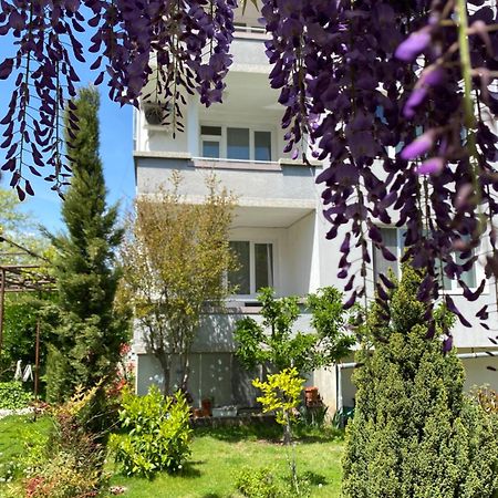 Family Hotel "May" Петрич Экстерьер фото